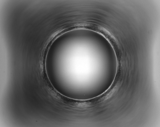 X0000098081025200804110938