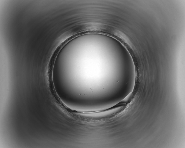 X0000098081026200804110938