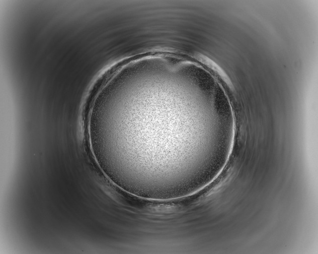 X0000098081027200804110938