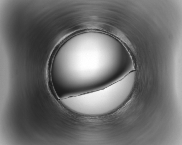 X0000098081028200804110938
