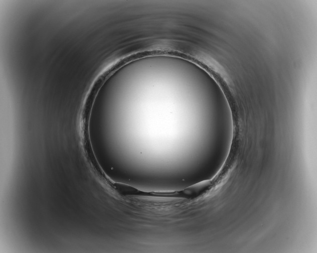 X0000098081029200804110938