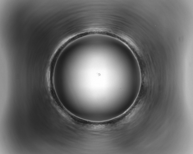X0000098081030200804110938