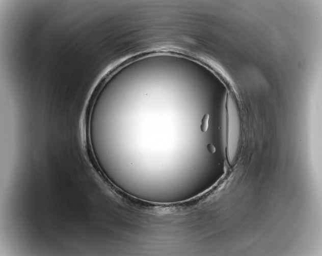X0000098081032200804110938