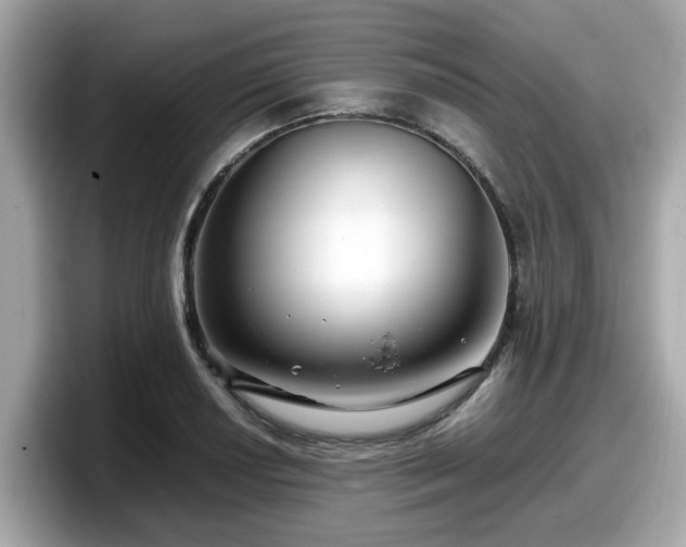 X0000098081034200804110938