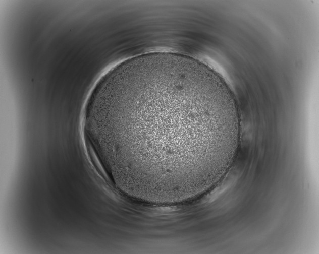 X0000098081035200804110938