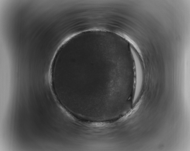 X0000098081037200804110938