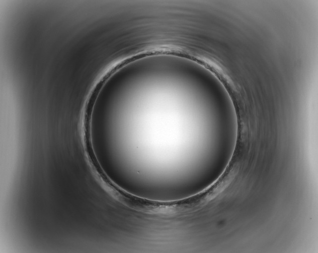 X0000098081038200804110938