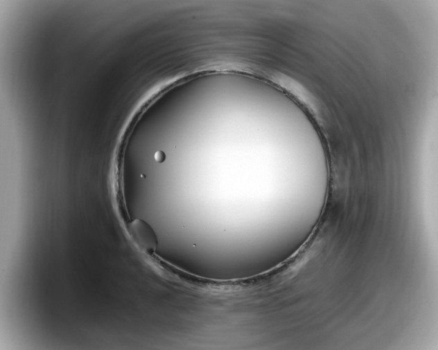 X0000098081040200804110938