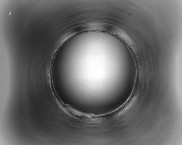 X0000098081041200804110938