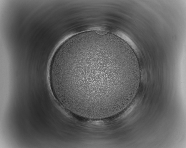 X0000098081043200804110938