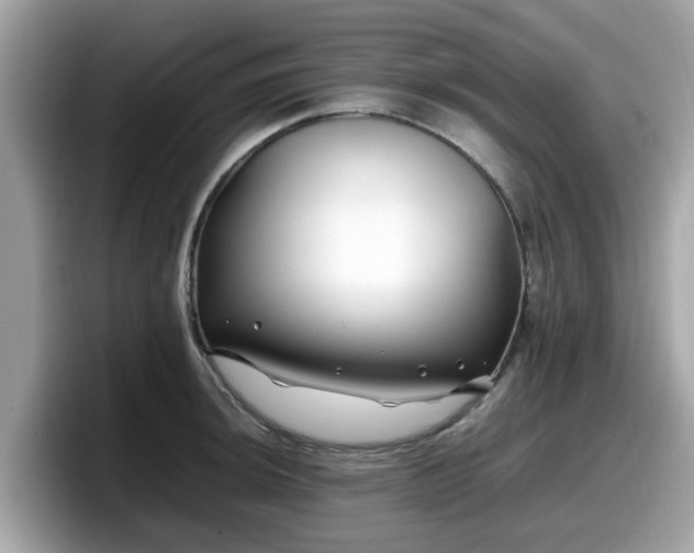 X0000098081044200804110938