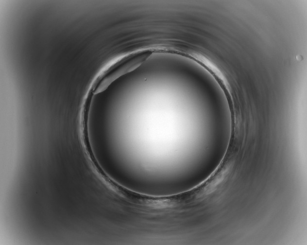 X0000098081045200804110938