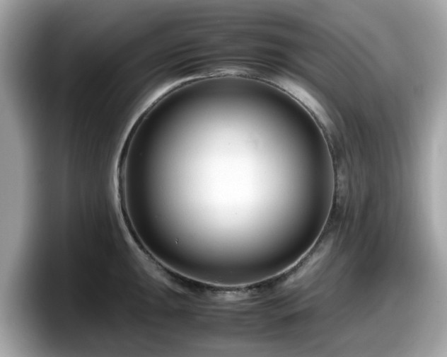 X0000098081047200804110939