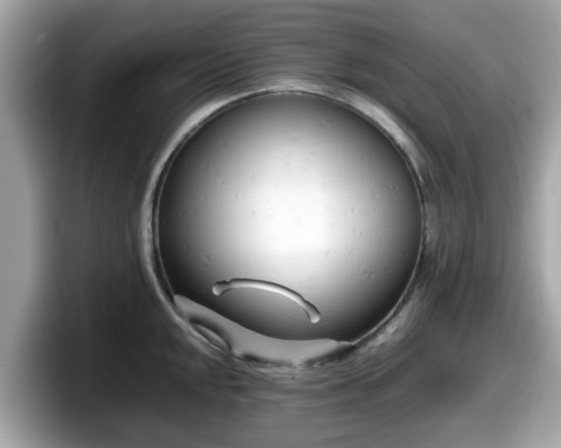 X0000098081048200804110939