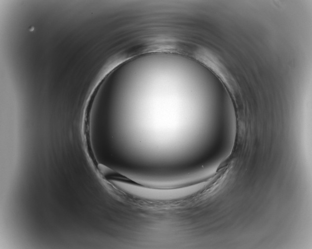 X0000098081050200804110939