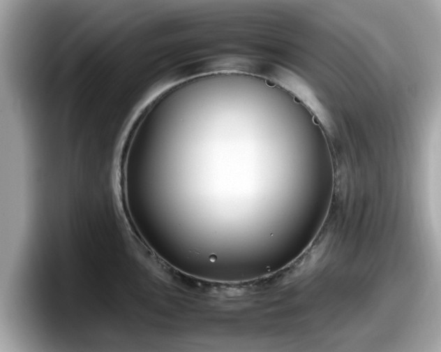 X0000098081051200804110939