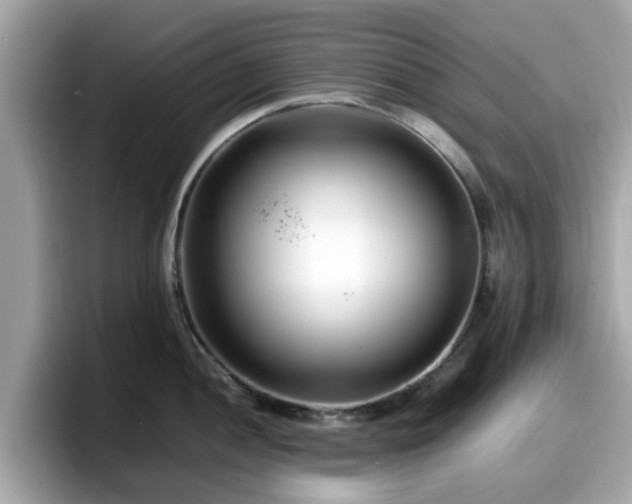 X0000098081052200804110939