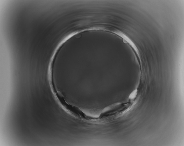 X0000098081053200804110939