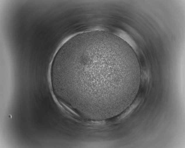 X0000098081055200804110939