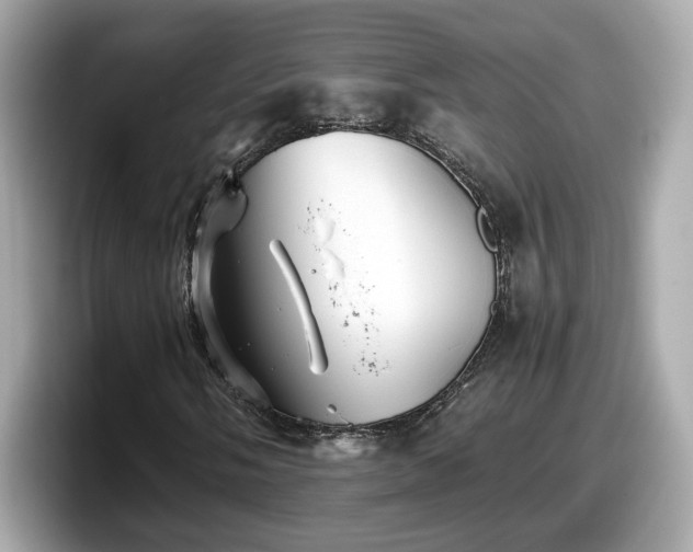 X0000098081058200804110938