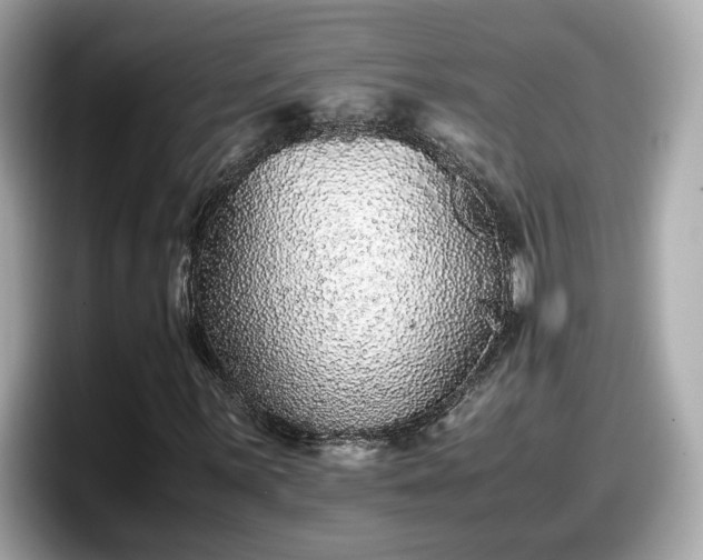 X0000098081059200804110938