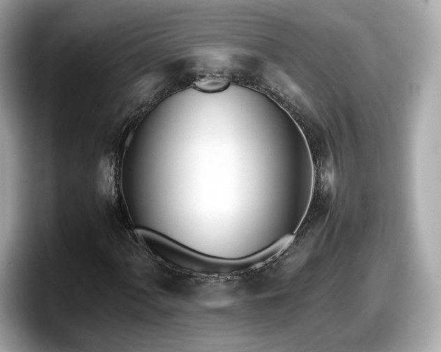 X0000098081060200804110938