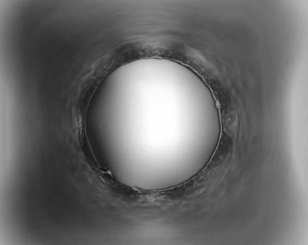 X0000098081061200804110938