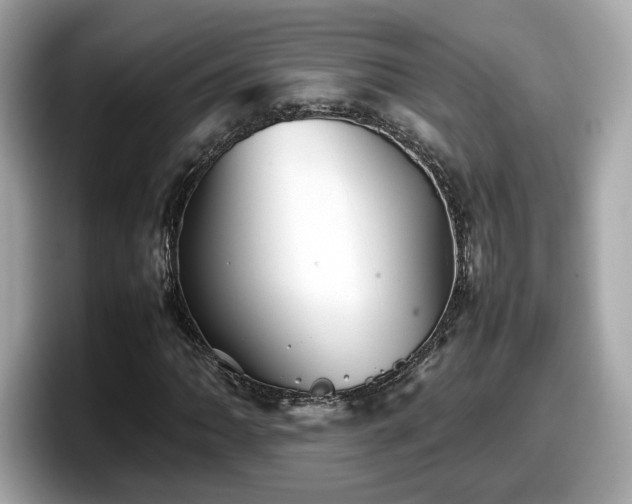 X0000098081062200804110938