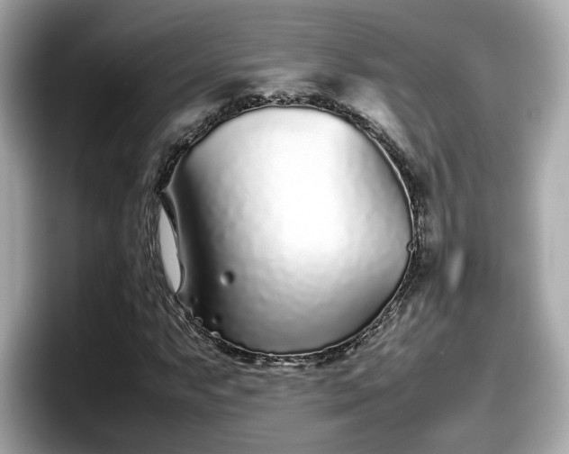 X0000098081063200804110938