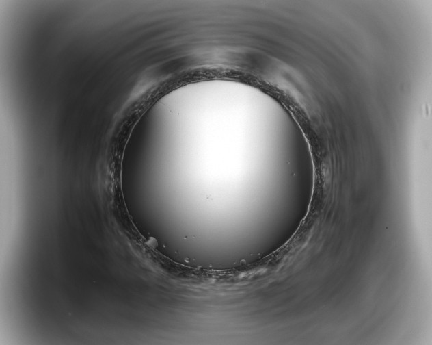 X0000098081064200804110938