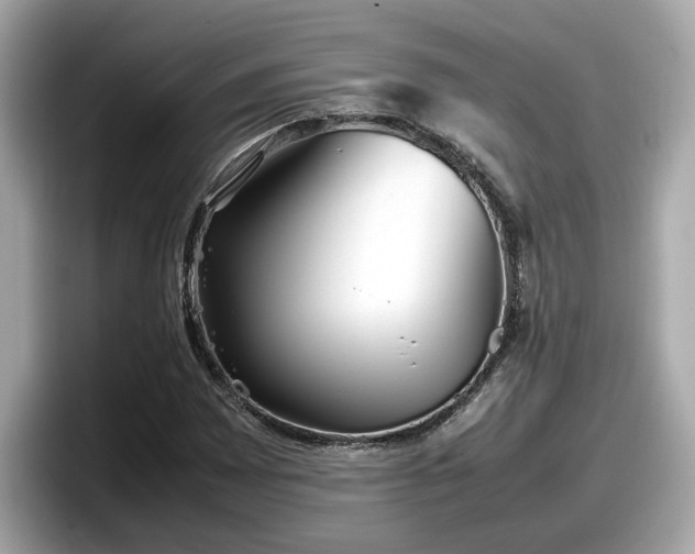 X0000098081065200804110938