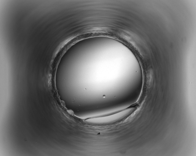 X0000098081066200804110938