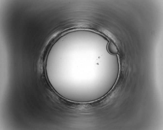 X0000098081067200804110938