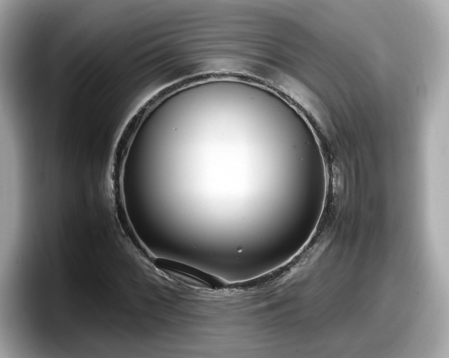 X0000098081068200804110938