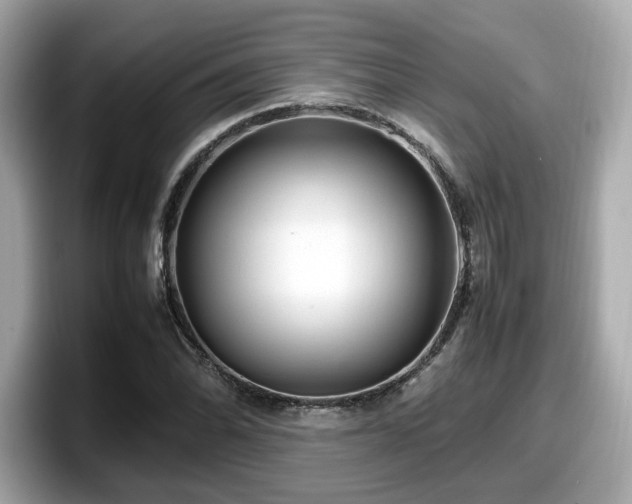 X0000098081070200804110938
