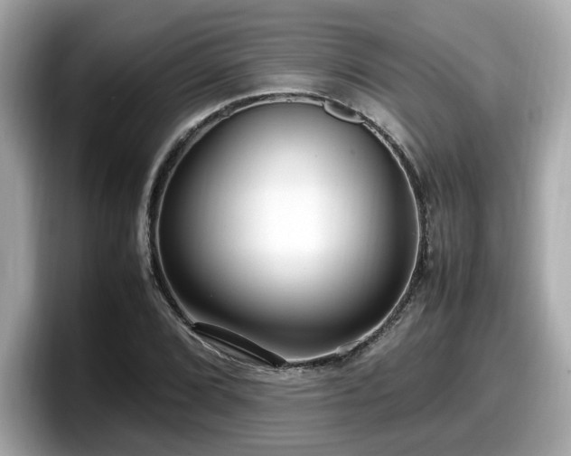 X0000098081072200804110938