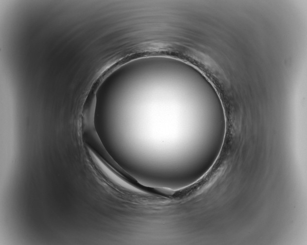 X0000098081073200804110938