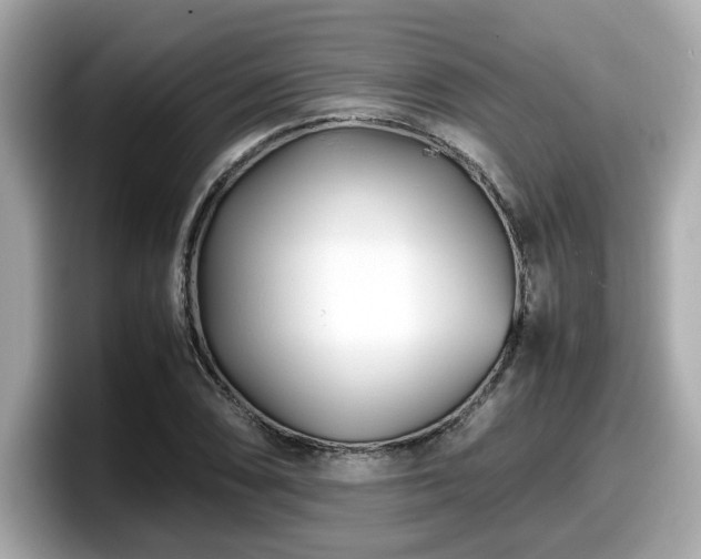 X0000098081074200804110938