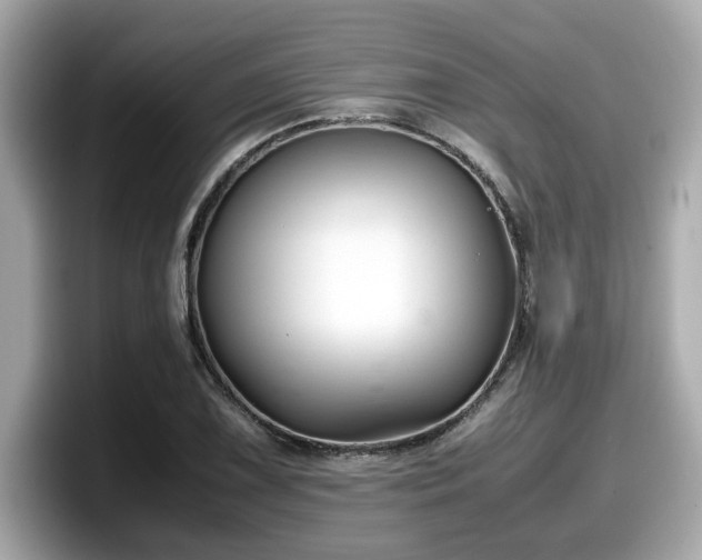 X0000098081075200804110938
