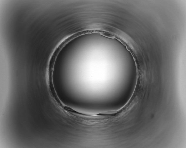 X0000098081076200804110938