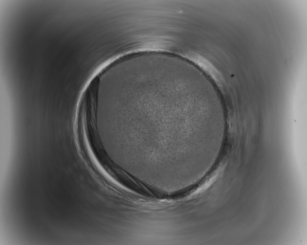 X0000098081077200804110938