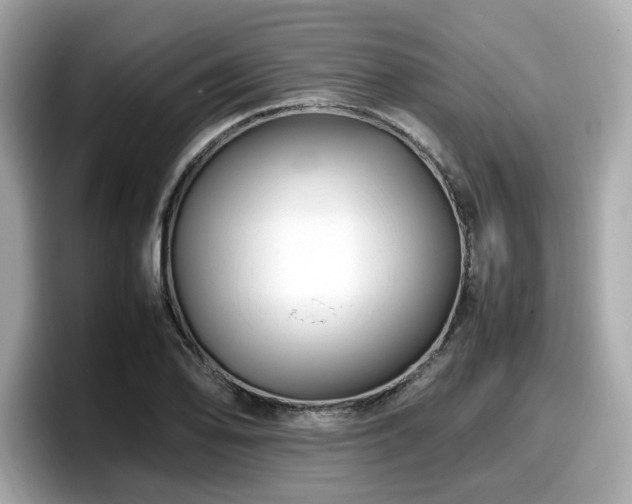 X0000098081078200804110938