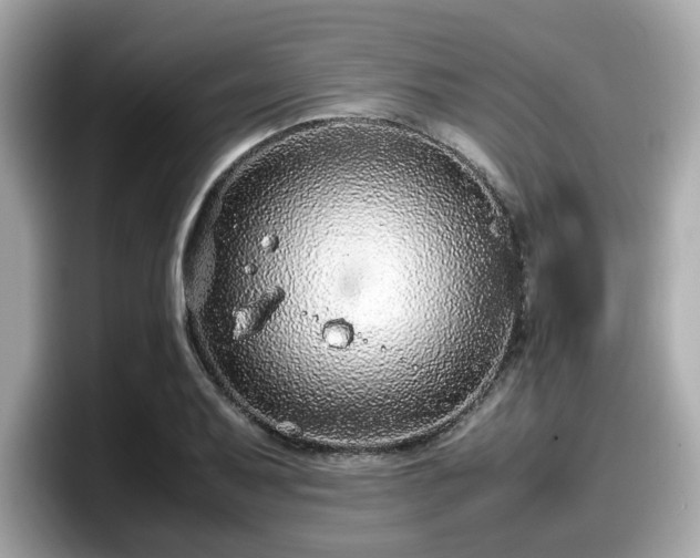 X0000098081079200804110938