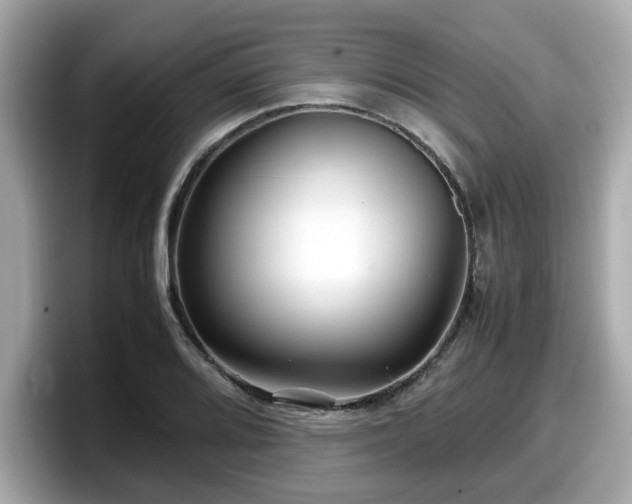 X0000098081080200804110938