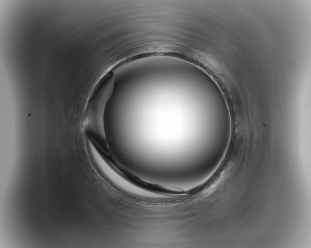 X0000098081081200804110938