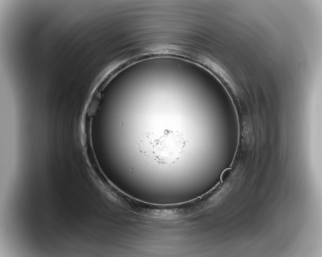 X0000098081082200804110938