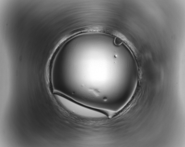 X0000098081083200804110938
