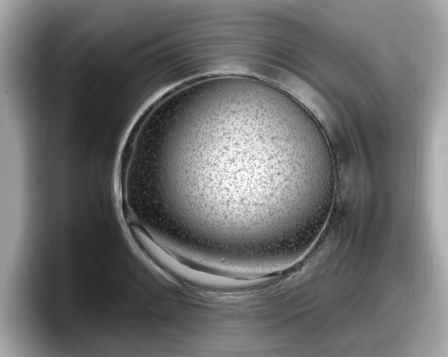 X0000098081084200804110938