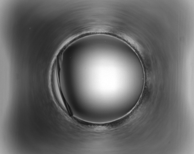 X0000098081085200804110938
