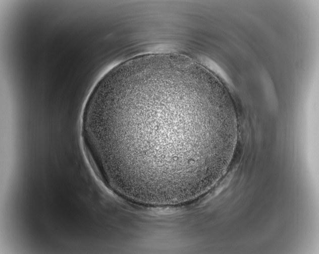 X0000098081087200804110938